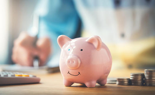Pink piggy bank with person behind calculating money