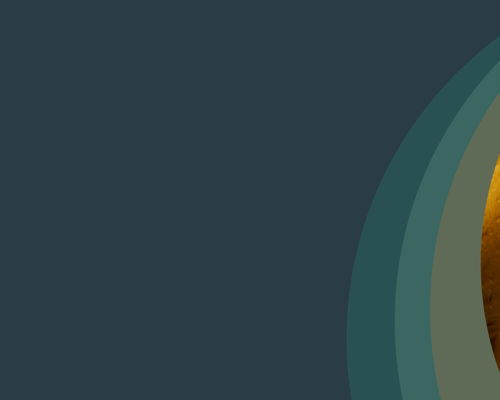 Website Damp And Mould 2025