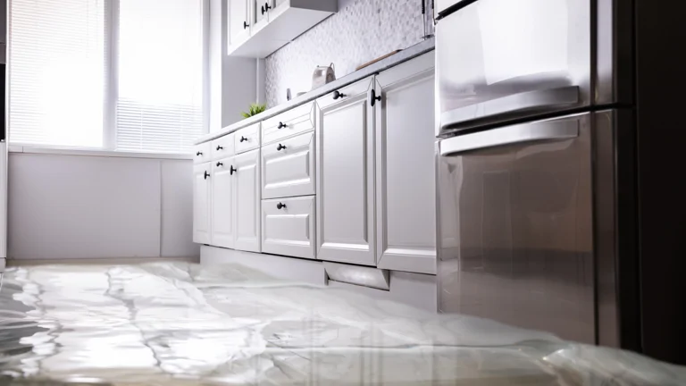 Flooded Floor
