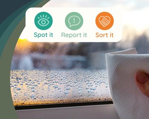 Damp and mould hero - green